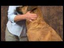 Köpek Dirsek Artrit İçin Akupunktur : Köpek Dirsek Artrit İçin Akupunktur: Boyun