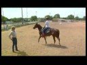 Acemi Daha Az Eğitimli Bir At İle Binicilik : At Yedeklemek İçin Eğitim  Resim 3