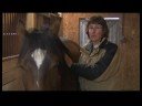 Atçılık Masaj Önlemek İçin Zaman Atçılık Masaj Hazırlanışı :  Resim 3