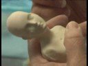 Bir Porselen Bebek Oluşturma: Islak Porselen Bebek Atmalarını Kadar Dokunaklı Resim 3