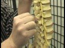 Kayropraktik Bakım İpuçları : Nasıl Spinal Anatomi Chiropractics Etkiler  Resim 3