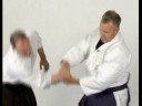 Kotegaieshi: Temel Aikido Teknikleri: Kotagaeshi Bilek Kilit Bir Ayı Gibi Kucaklama Resim 3