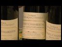 Pinot Noir Şarabı : Burgonya Pinot Noir Çeşitleri Resim 3