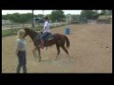 Acemi Daha Az Eğitimli Bir At İle Binicilik : At Bir Rakam 8 Yapmak İçin Eğitim  Resim 4