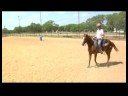 Acemi Daha Az Eğitimli Bir At İle Binicilik : At Yedeklemek İçin Eğitim  Resim 4