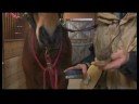 ATI Tımar Araçları : At Yumuşak Fırçalar Kullanarak  Resim 4