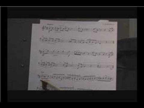 Keman Çalan Ludwig Van Beethoven : Keman Beethoven 5 Hat Oynuyor  Resim 1