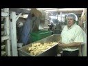 Tortilla Chip Fabrikası : Tortilla Cipsi Kalite Kontrol Fabrika 