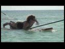 Acemi Kürek Sörf: Bir Paddleboard Eğilimli Sörfçü Pozisyon Resim 3
