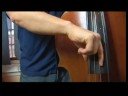 Akustik Bas Hatları Yürümeye Başlarken : Pizzicato Akustik Bas Teknikleri Resim 3
