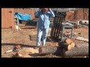 Bir Kase Boş Woodturning İçin Hazırlanıyor: Bir Kase Boş Bir Chainsaw Kullanma Hazırlanıyor Resim 3