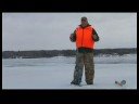 Buz İpucu-Up İle Balık : Balık Oyunu İçin Boyutu Burgu  Resim 3