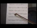 Keman Çalan Ludwig Van Beethoven : Keman Beethoven 5 Hat Oynuyor  Resim 3