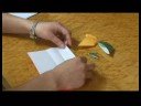 Origami Modelleri : Origami Kabuk Resim 3