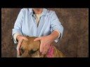 Romatizmalı Köpekler İçin Akupunktur : Akupunktur Köpek Parmak Konumlandırma Resim 3