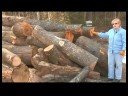 Bir Kase Boş Woodturning İçin Hazırlanması: Woodturning Sert Resim 4