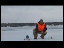 Buz İpucu-Up İle Balık : Balık Oyunu İçin Boyutu Burgu  Resim 4