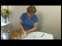 Kedi Sağlık Ve Tıbbi Sorunlar : Kedi Sağlığı: Pireler Ve Keneler Bulma  Resim 4