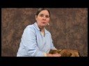 Köpek Omuz Artrit İçin Akupunktur : Omuz Artrit İçin Köpek Akupunktur Faydaları  Resim 4