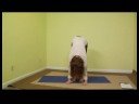 Yoga Sun Salutation Gelişmiş: Yoga Gelişmiş Sun Salutation Pozlar: Forward-Fold Uzantısı Resim 4