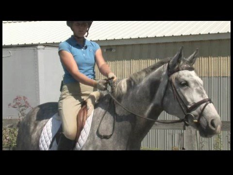 At Bakımı Ve Binicilik : ATI Tutmak İçin Nasıl\'nin Dizginlerini