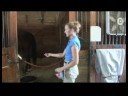 At Bir Havuç Beslemek İçin Nasıl Bakım At & Binicilik :  Resim 3