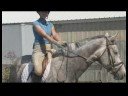 At Bakımı Ve Binicilik : ATI Tutmak İçin Nasıl\'nin Dizginlerini Resim 4