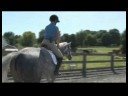 Atını Tırıs Nasıl Bakım At & Binicilik :  Resim 4
