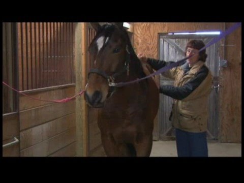 Atçılık Masaj Teknikleri : Atçılık Masaj İnme Yerleştirme