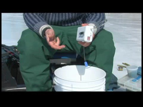 Buz Balıkçılık Becerileri : Buz Balıkçılık Yem: Sazan Evde Canlı Tutmak 