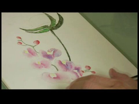 Suluboya Resim: Orkide : Orkide Suluboya Resim: Çiçek Ayrıntılar Ekleyerek 