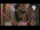 Atçılık Masaj Teknikleri : Atçılık Masaj İnme Sırası Resim 3