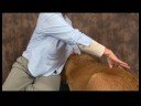 Köpek Diz Artrit İçin Akupunktur : Köpek Diz Artrit İçin Akupunktur: Böbrek İçi Boş Resim 3