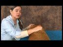 Köpek Ayak Bileği Artrit İçin Akupunktur : Akupunktur Köpek Rahatlama Resim 4