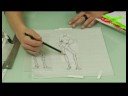 Moda Gösterim Amacıyla Bir Kroki Çizmek İçin Nasıl: Moda Kroki Çizimler: Bacaklar Resim 4