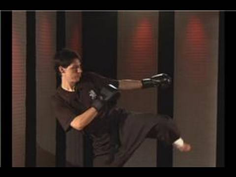 Kung Fu Dövüş Teknikleri : Kung Fu Dövüş Teknikleri Dışında Blok Ve Yan Tekme