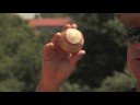 Beyzbol Atış Nasıl Yapılır : 12-6 Curveball Bir Adım Atmak İçin Nasıl 