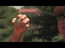 Beyzbol Atış Nasıl Yapılır : Palm Top Atışı Nasıl 