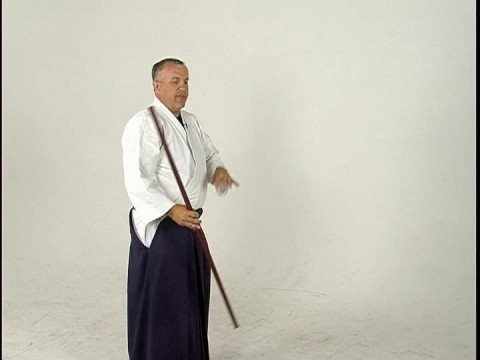 Jogi 2: Aikido Teknikleri Personel : 2 Jogi Aikido: İncele