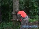 Nasıl Geyik AVI İçin : Ağacı Standı Nasıl Kullanılır: Temel Geyik AVI İpuçları