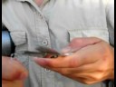 Çocuklar İçin Pro Fishing İpuçları: Bir Balığa İçin Çocuklar İçin Hazırlamak Resim 3