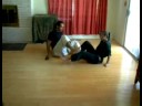 Temel Judo Teknikleri: Nasıl İnişli Çıkışlı Bacak Kilit Judo Tekniği Resim 3