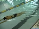 Yüzmeyi Kurbağalama : Tam Kurbağalama Uygulama Teknikleri Resim 4