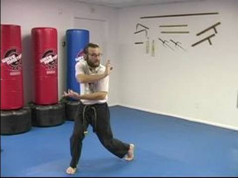 Beş Hayvan Shaolin Dövüş Sanatları : Ejderha Shaolin Dövüş Sanatları Dövüş Stili  Resim 1