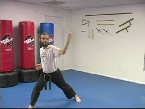 Beş Hayvan Shaolin Dövüş Sanatları : Leopar Shaolin Dövüş Sanatları Dövüş Stili 