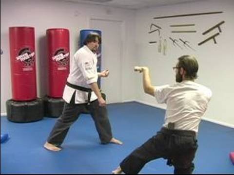 Beş Hayvan Shaolin Dövüş Sanatları : Shaolin Dövüş Sanatları Teknikleri Leopar  Resim 1