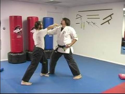 Beş Hayvan Shaolin Dövüş Sanatları : Shaolin Dövüş Sanatları Yılan Teknikleri  Resim 1