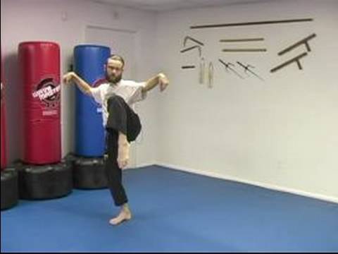 Beş Hayvan Shaolin Dövüş Sanatları : Vinç Shaolin Dövüş Sanatları Dövüş Stili 