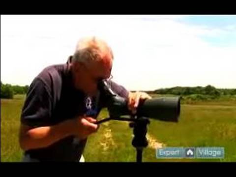 Kuş Gözlem İle Başlamak: Nasıl Bir Teleskop Kuş Gözlemciliği İçin Kullanılır