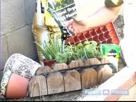 Nasıl Kapalı Veya Açık Havada Bir Ot Bahçe Büyümeye: Basic Herb Bahçe Büyüyen Malzemeleri